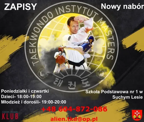 Logo klubu Taekwondo Instytut Masters — okrągły emblemat z sylwetką zawodnika i hangul 태권도